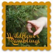 Wildflower Ramblings