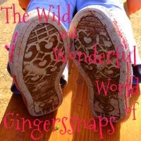 The Wild and Wonderful World of Gingerssnaps