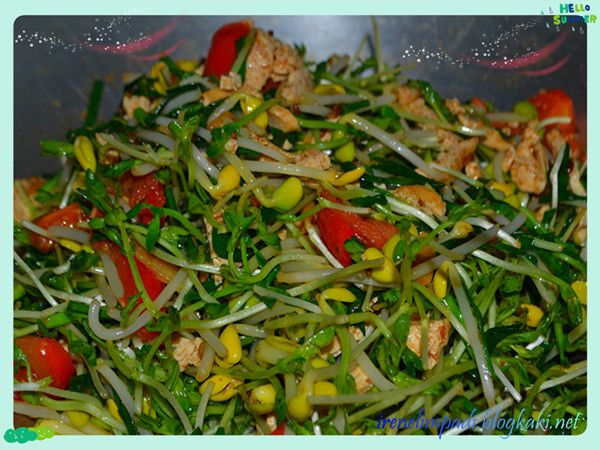 妈妈炒大豆芽豆苗豆干韭菜 photo B59885988709259278C4682BD8C4682D78C465E7297ED83DCblogsise6_zpsb6f36d82.jpg