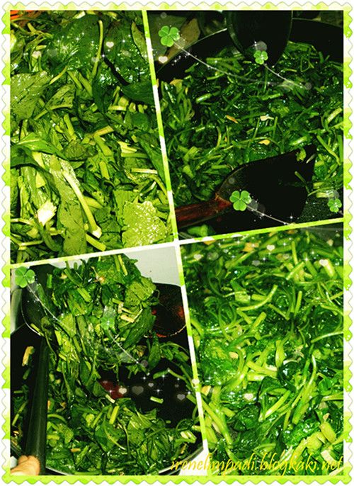 妈妈清炒苋菜菜心 photo B83DC5FC3598859886E05709282CB83DC4photoblogsise5_zps86eea695.jpg