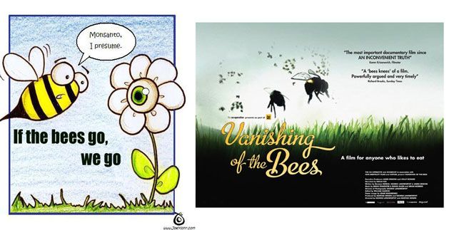 Colony-Collapse-Disorder Colony-Collapse in bees