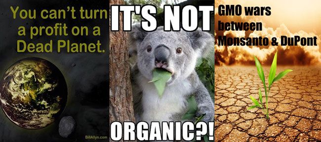 GMO dangers