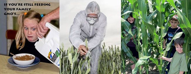 Roundup-toxic-children Roundup-toxic-children