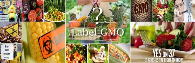 label GMO
