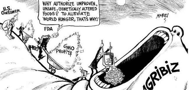 Gmo History