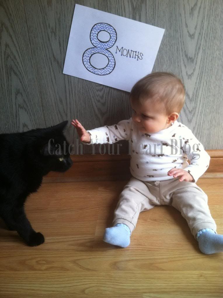 photo 8months4-001_zps5017abae.jpg