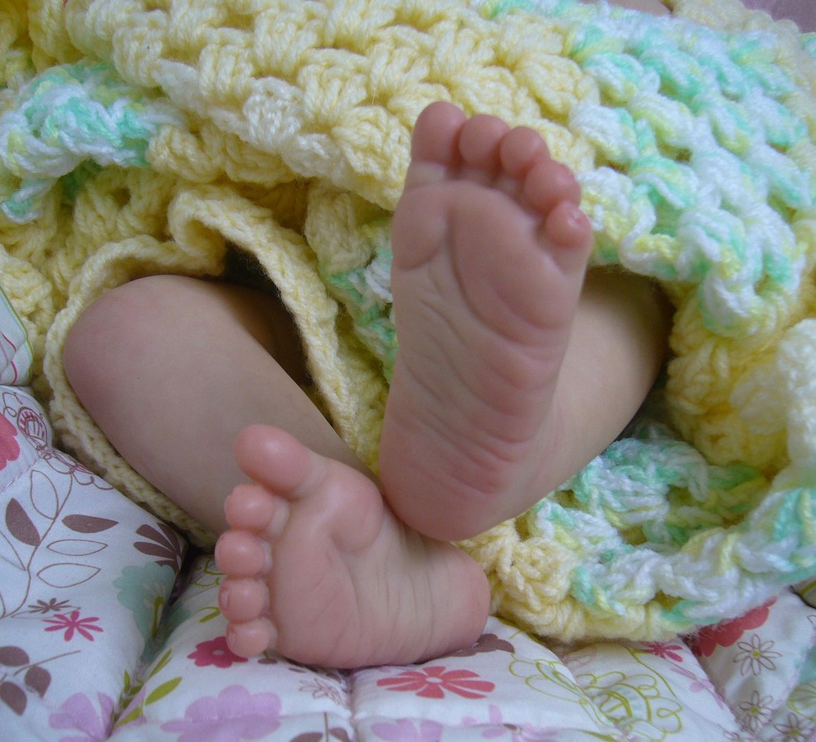Photobucket Pictures, Images and Photos