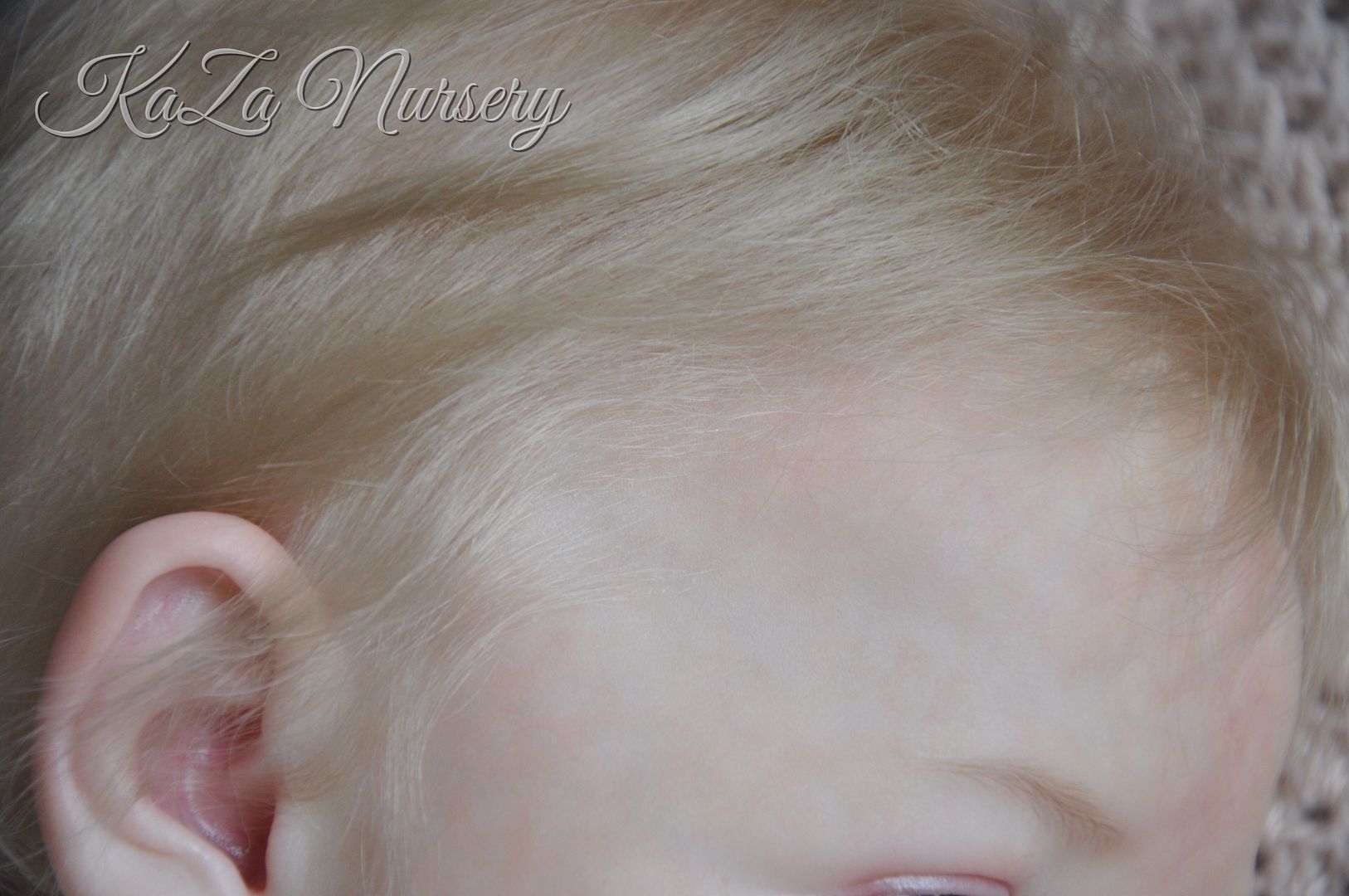 photo E95D83D2-4B75-4E85-BAF4-4293117A0B48_zpssxgqcjd0.jpg