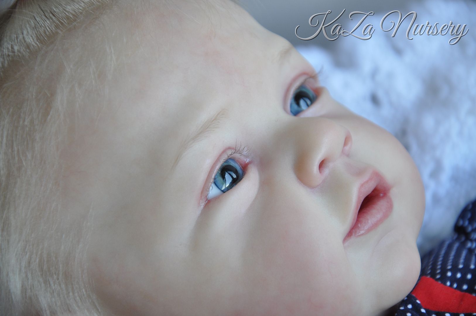 photo FD4FAE17-AEB7-4894-BF79-93A88396E529_zpse1wndenl.jpg