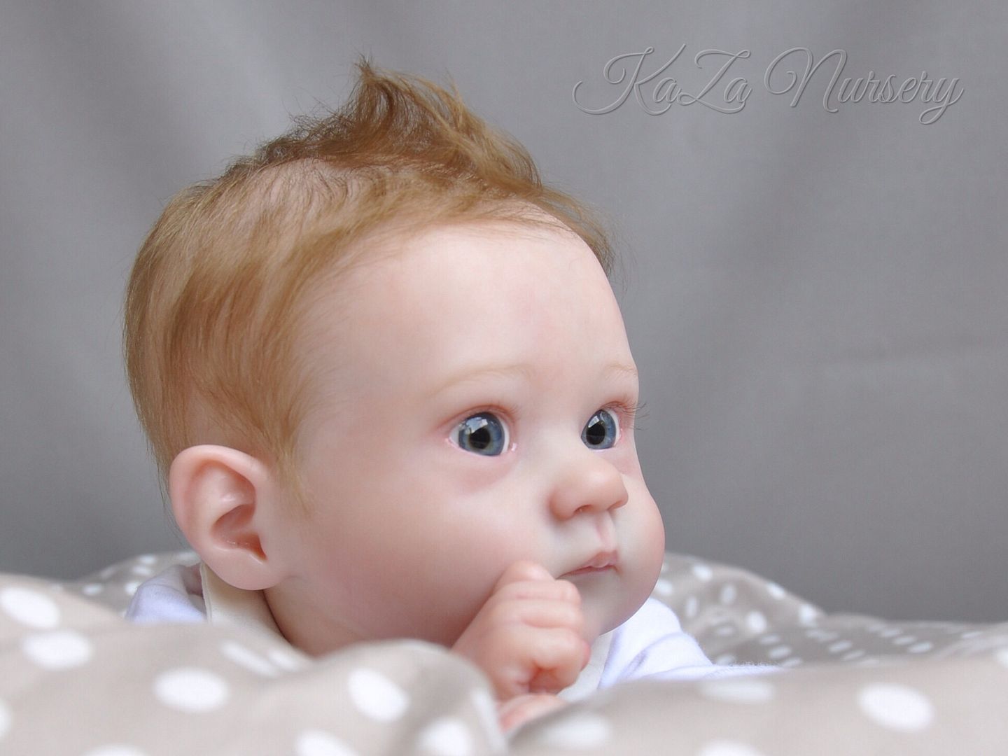 Photobucket Pictures, Images and Photos