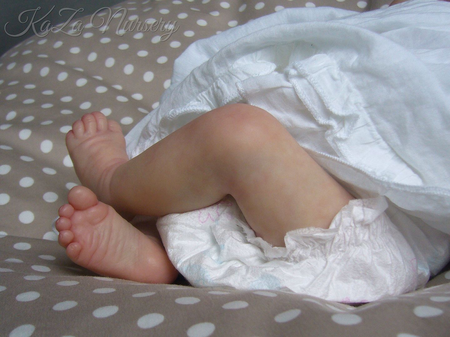 Photobucket Pictures, Images and Photos