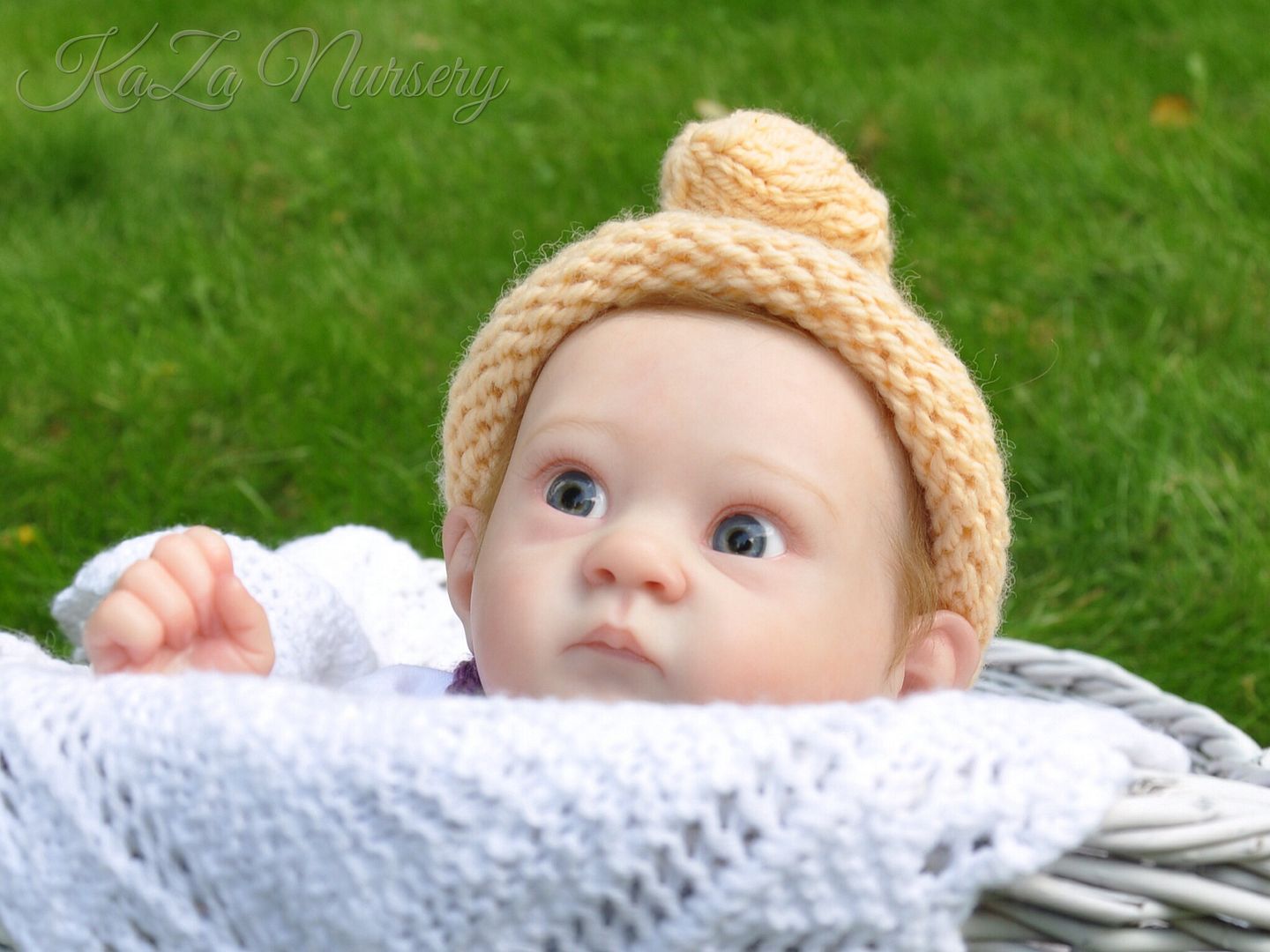 Photobucket Pictures, Images and Photos