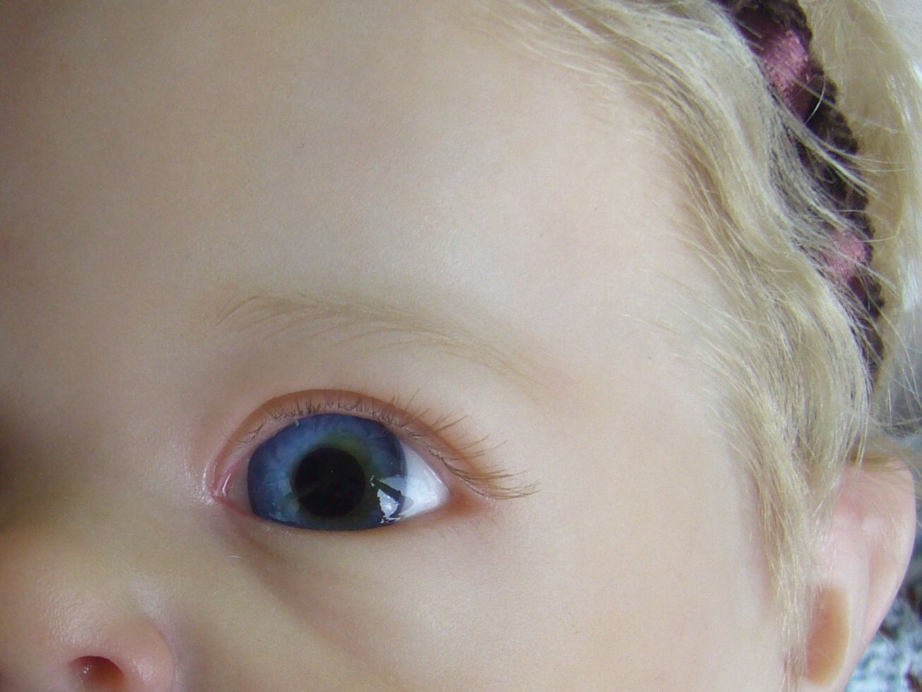 photo imagejpg24_zps8d1ed4dc.jpg