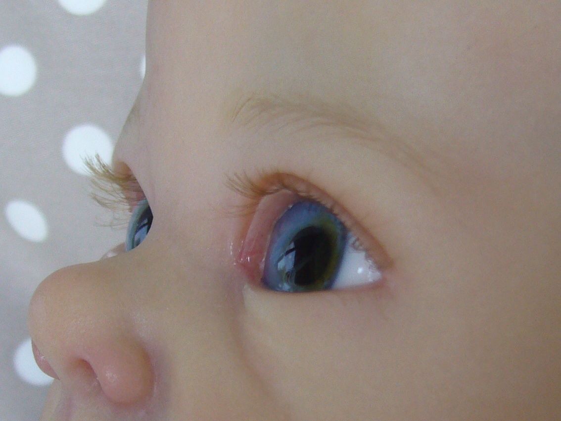 photo imagejpg25_zps6d9b3eee.jpg