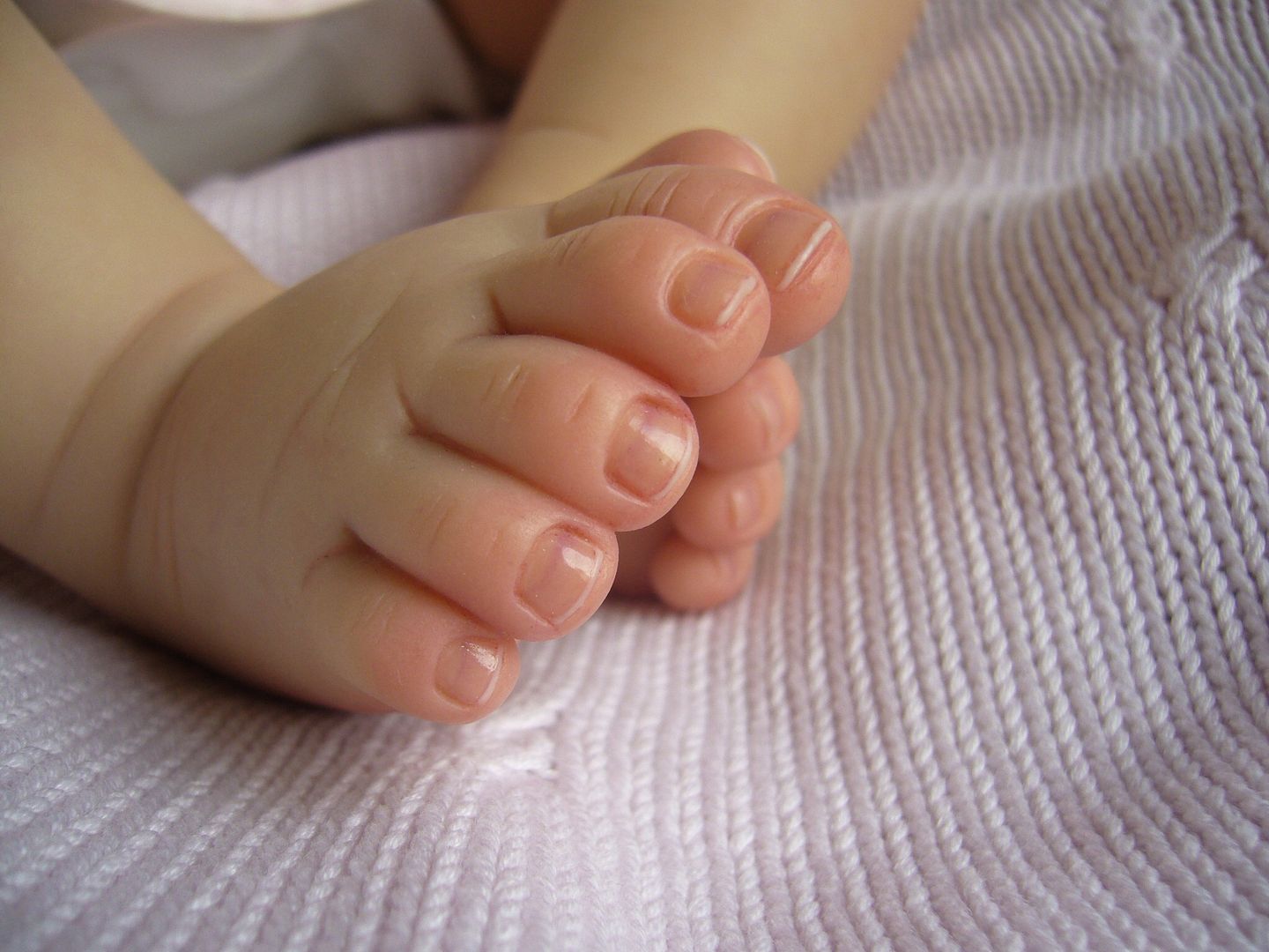 Photobucket Pictures, Images and Photos