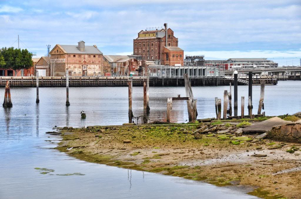 photo DSC_0045_zps150356bf.jpg