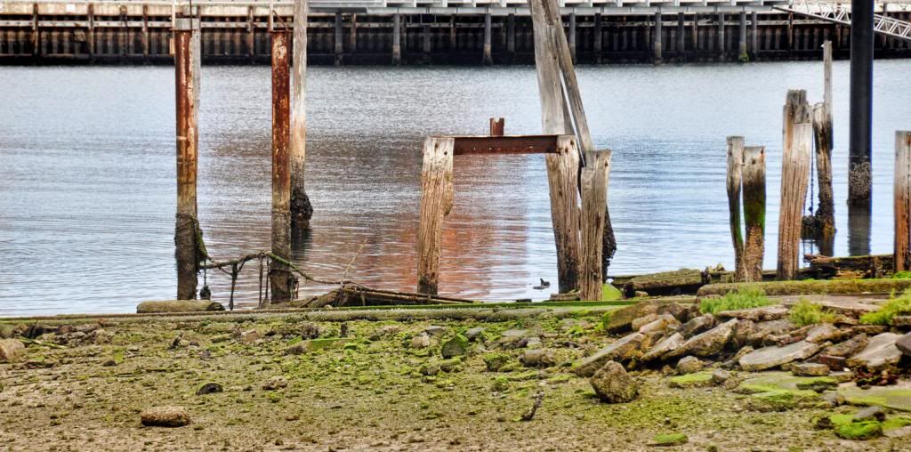 photo DSC_0047_zps54092844.jpg