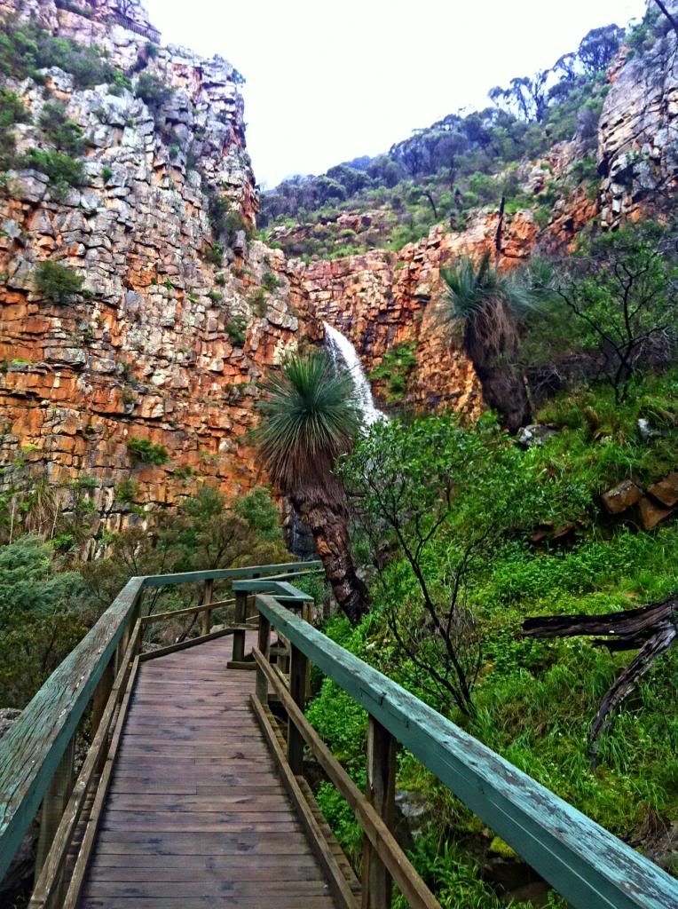 photo IMG_1544_zps76345ead.jpg