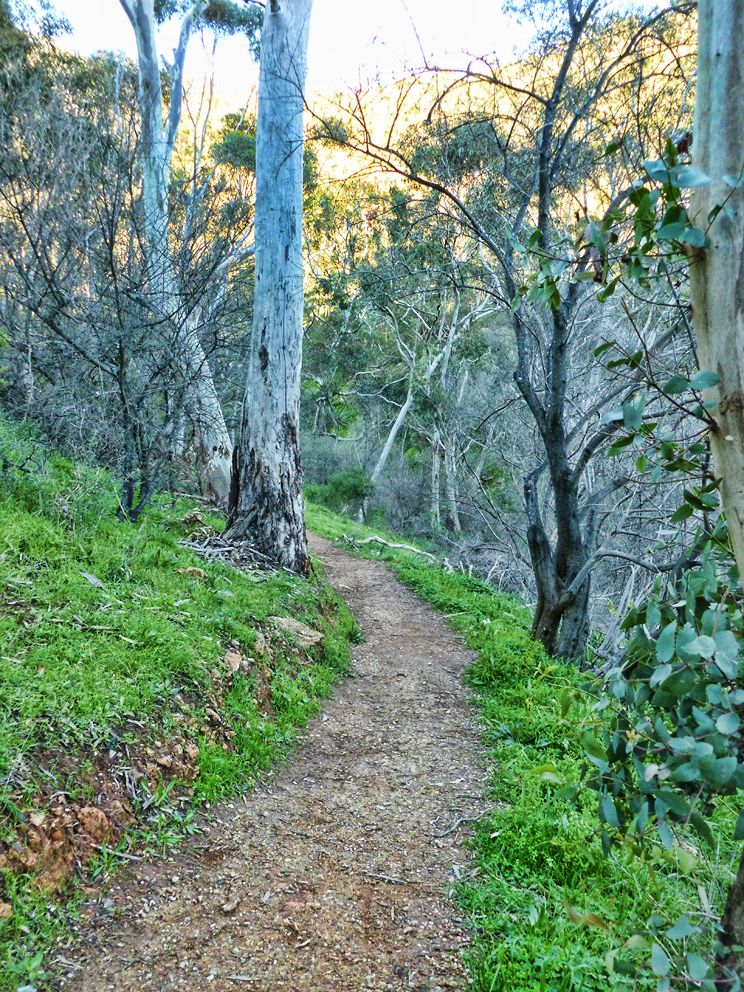 photo P1010158_zps1a12943c.jpg