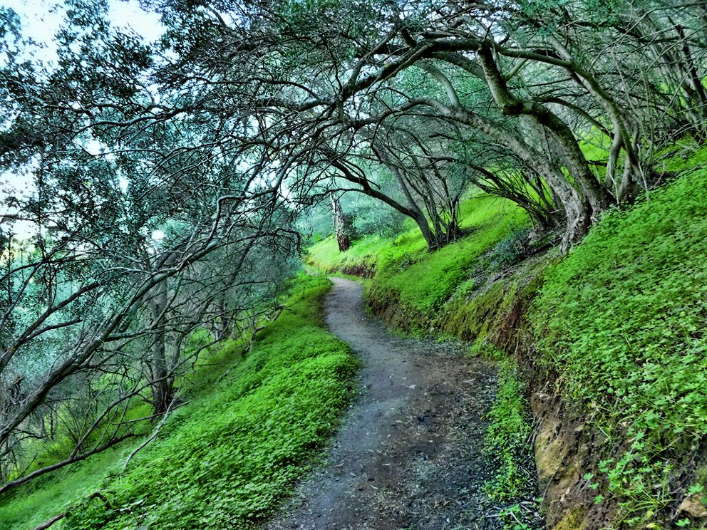 photo P1010171_zps6b76946e.jpg