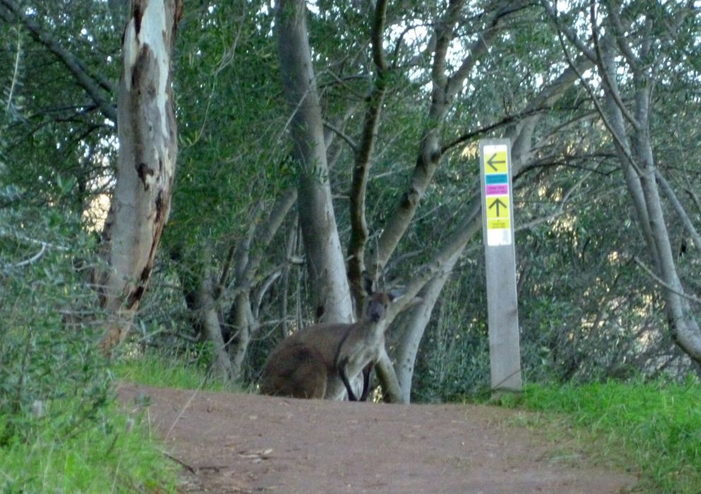 photo P1010178_zps0b0ff5fc.jpg