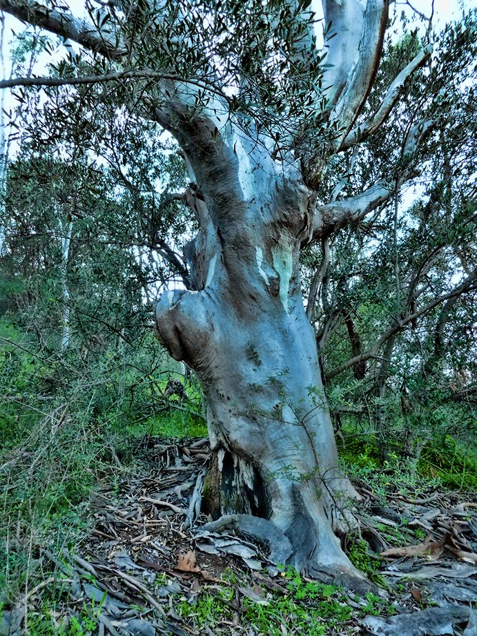 photo P1010180_zps30cc1a9f.jpg