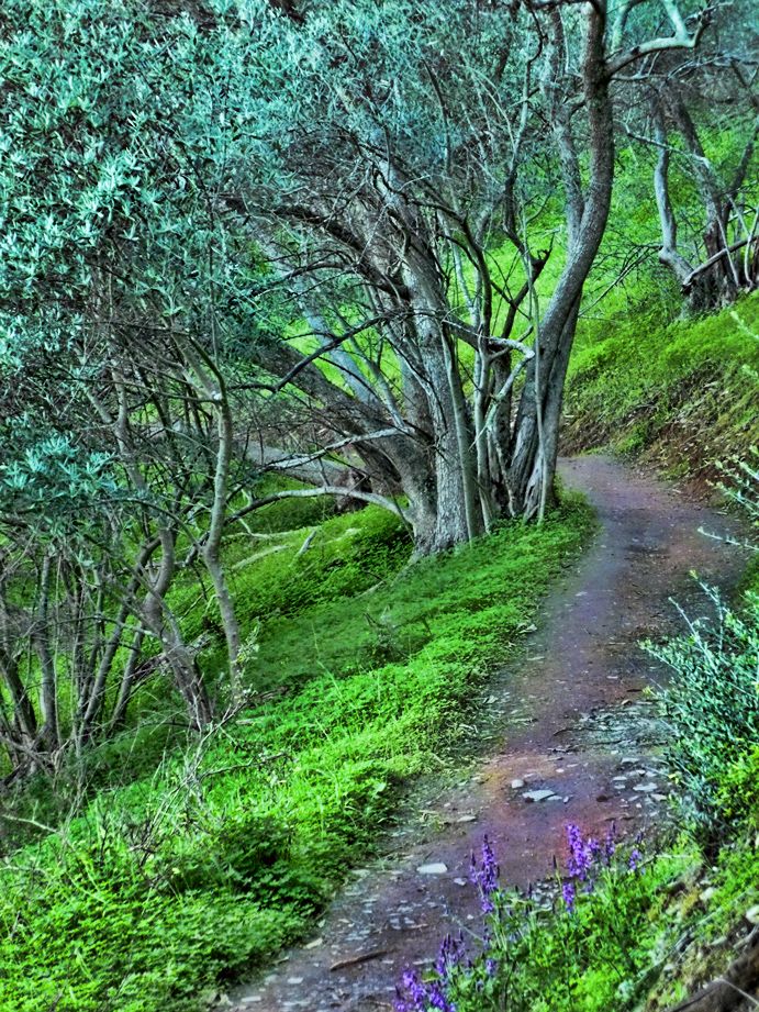 photo P1010181_zpseade333c.jpg