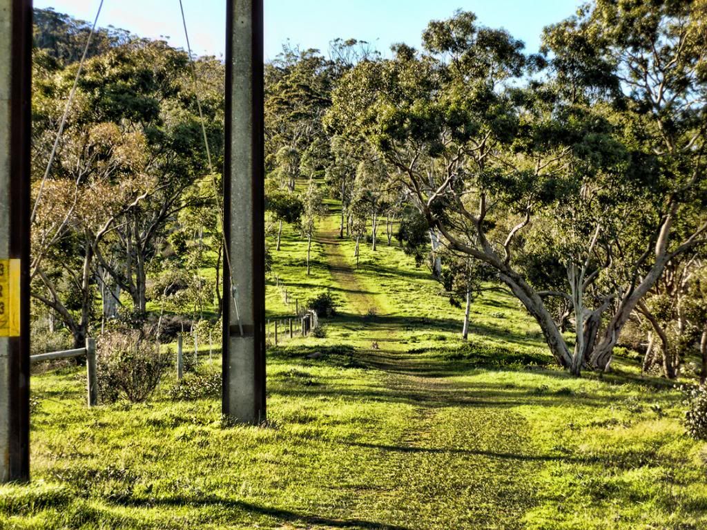 photo P1010187_zpsa8f72a19.jpg