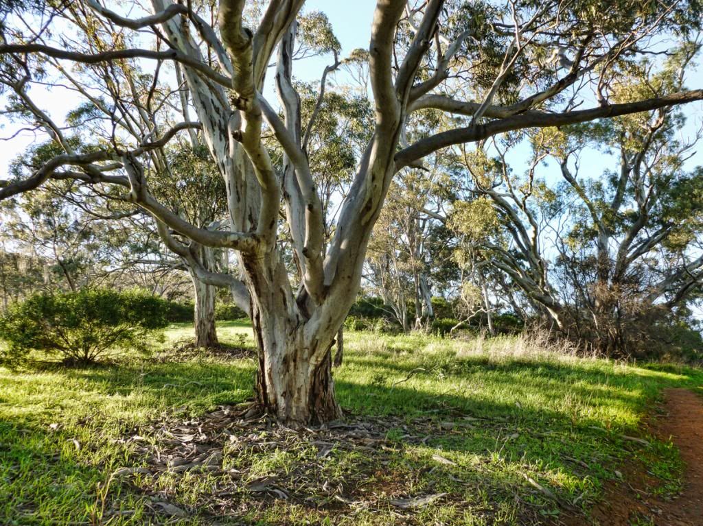 photo P1010198_zps82a63021.jpg