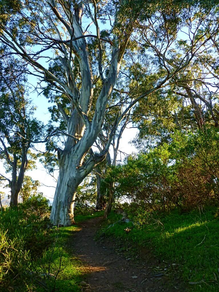 photo P1010203_zpsdb16d9aa.jpg