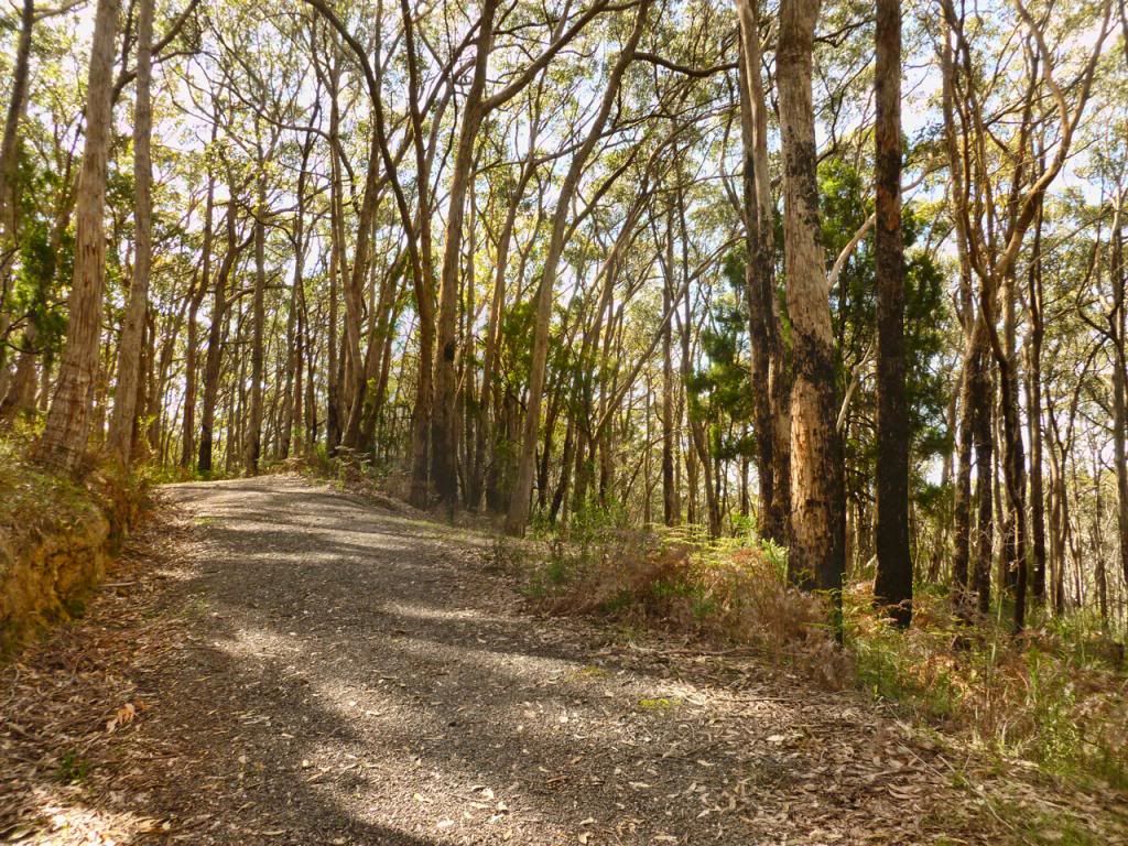 photo P1010345_zpscc81cc73.jpg