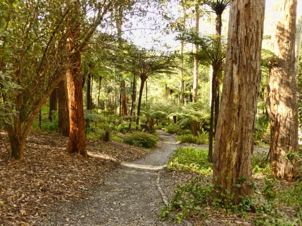 photo P1010349_zpscb589449.jpg