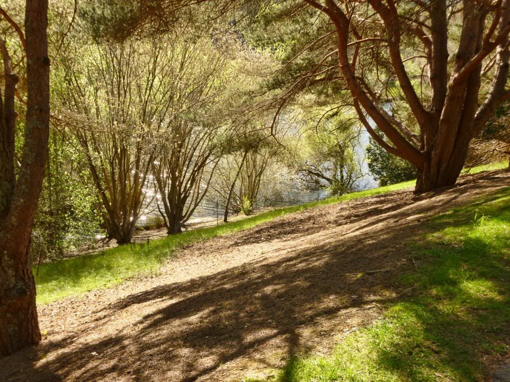 photo P1010360_zps28422b3d.jpg