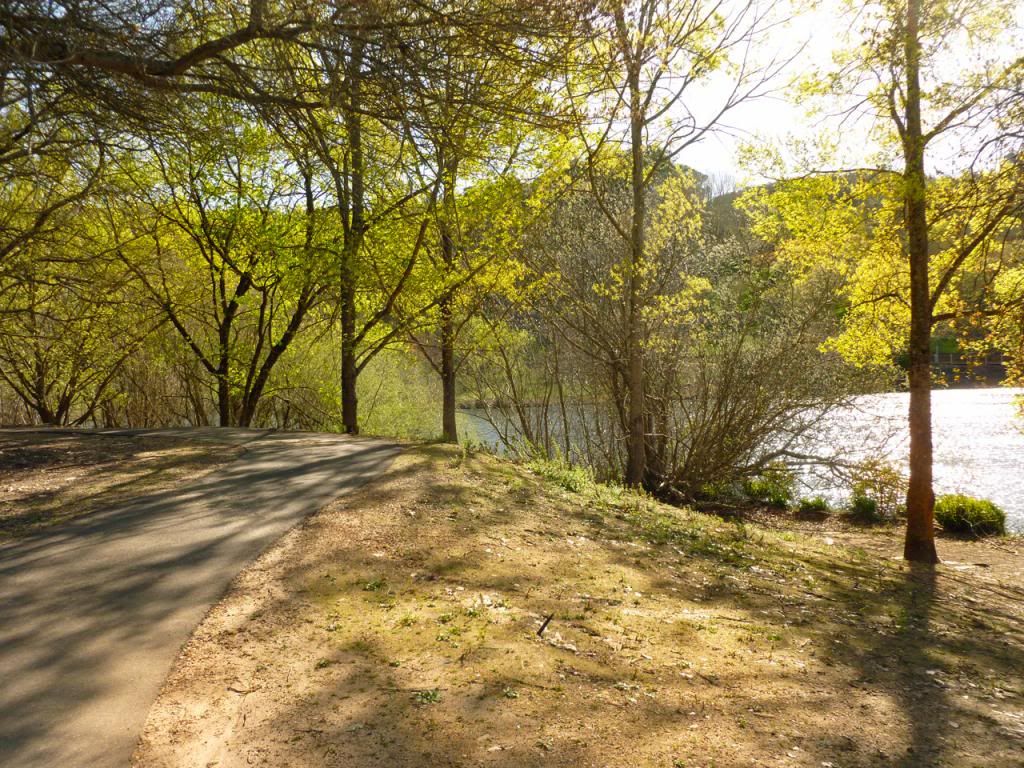 photo P1010365_zpsd65fb68a.jpg