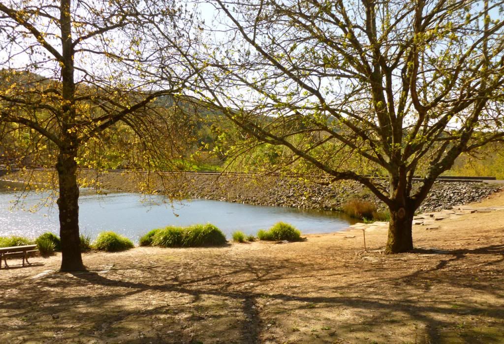 photo P1010366_zps779e3c11.jpg