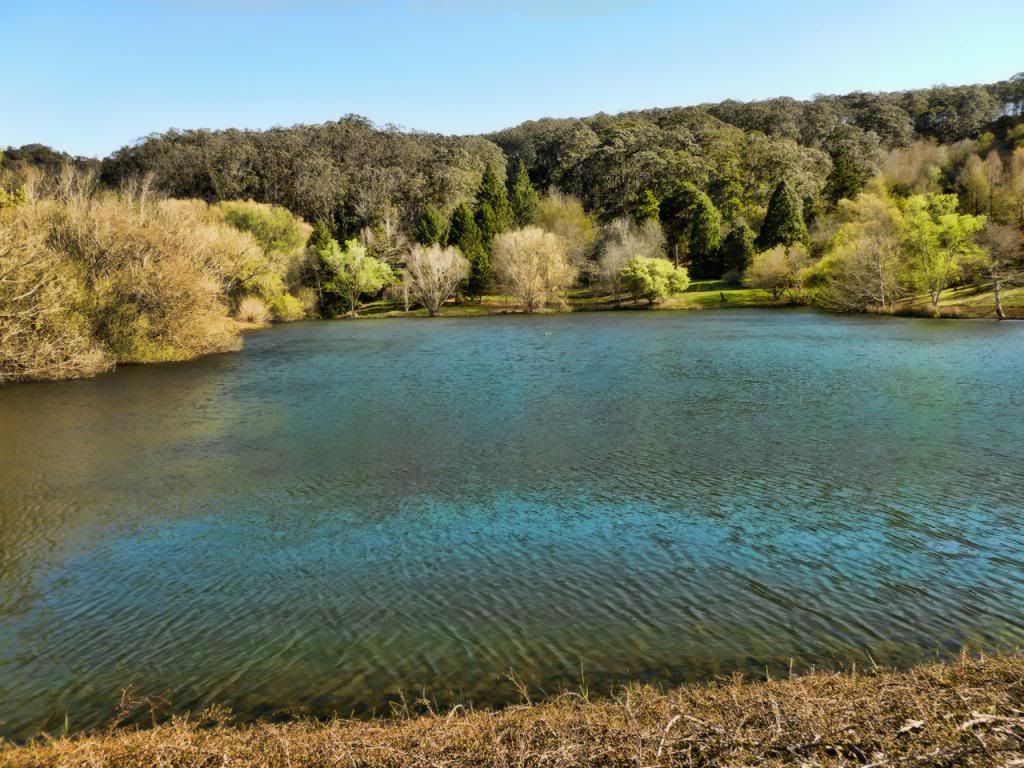 photo P1010377_zps065a6bd8.jpg