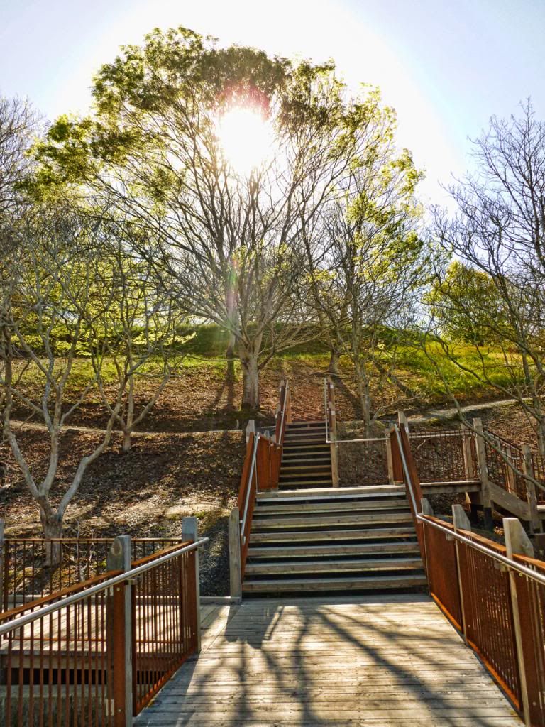 photo P1010380_zpse4ae8293.jpg