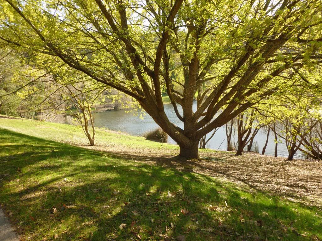 photo P1010382_zps92085686.jpg