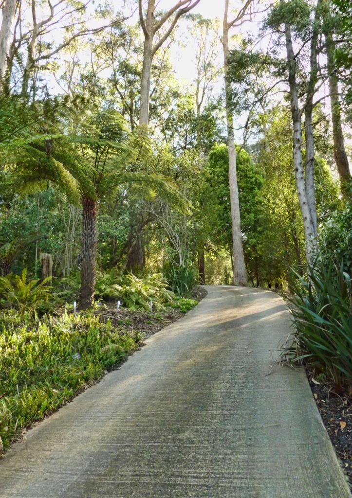 photo P1010392_zps72a946d2.jpg