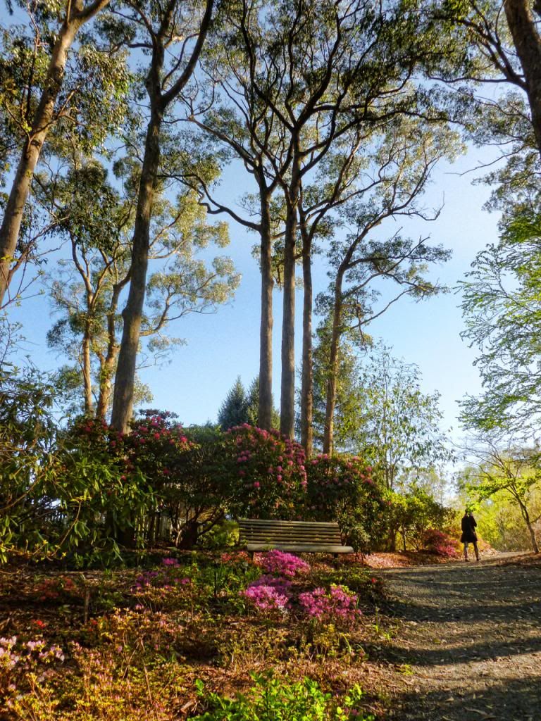 photo P1010412_zps3fb4b8da.jpg