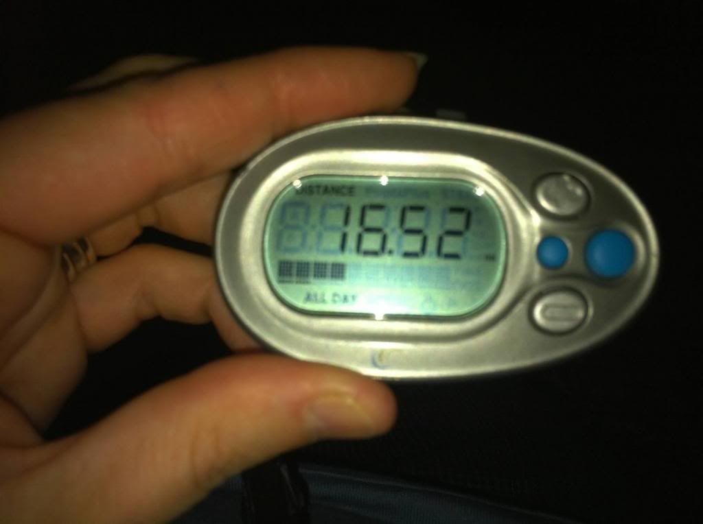 pedometer_zpsda35bec6.jpg