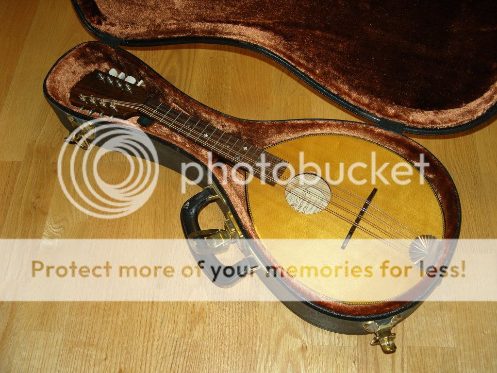 the flatiron mandolin serial 84022640